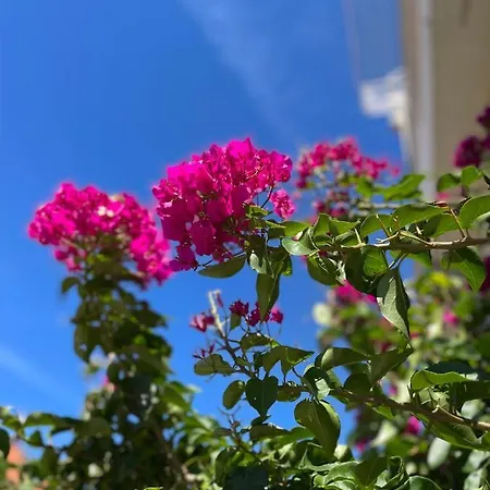 Apartament Katić *