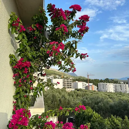 Katić Apartament *