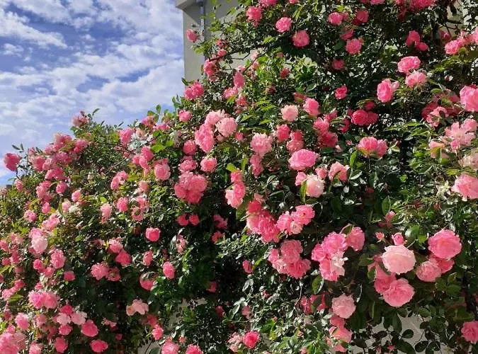 Katic Διαμέρισμα *